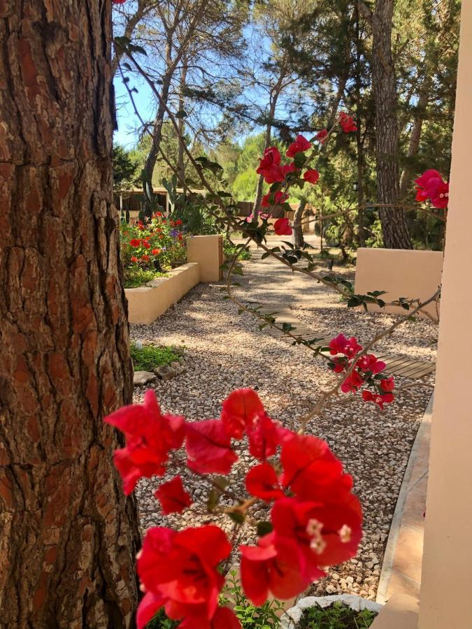 Apartamento Sa Ginebra, Cala Saona Exterior photo
